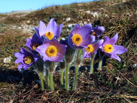 Napra irányított lokátorok :)