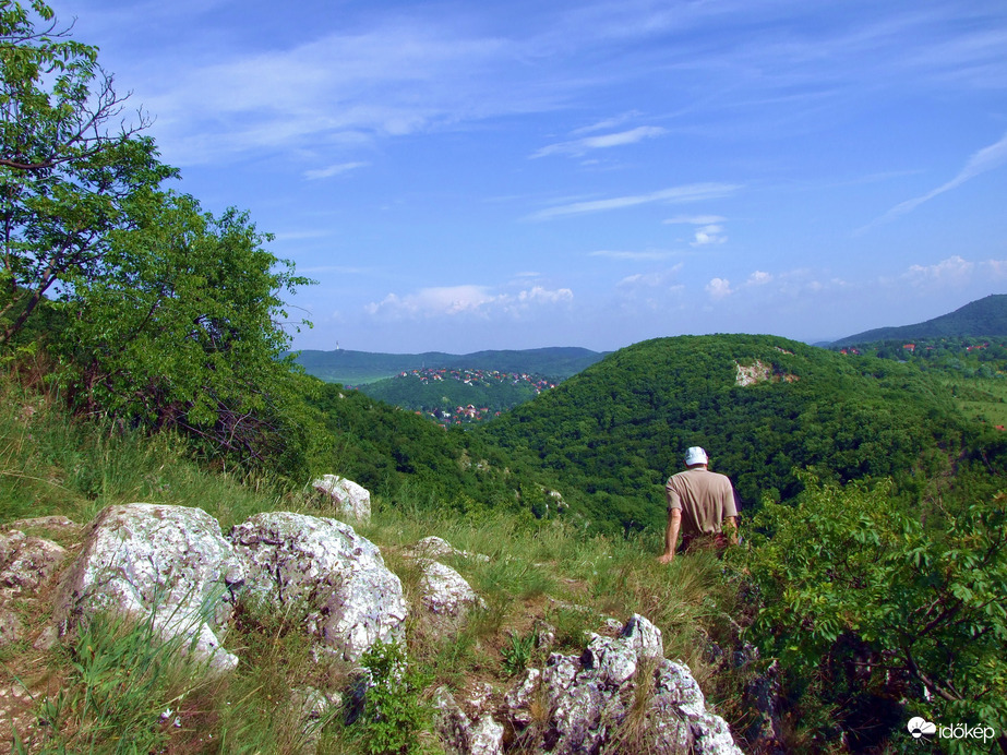 Nyári hangulat 