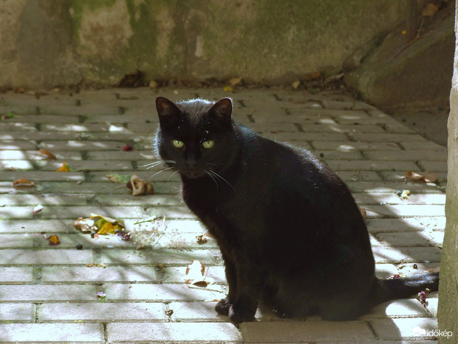 Elmaradt a jutifalat...:)