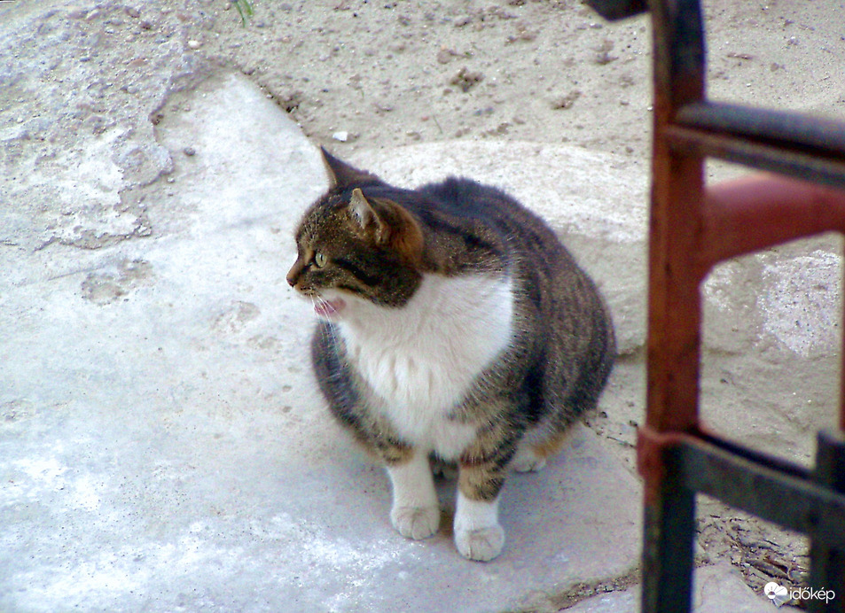 Engem senki sem visz haza? 