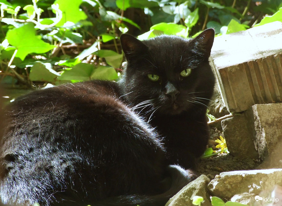 Ugye nem gondolod, hogy felkelek innen? 