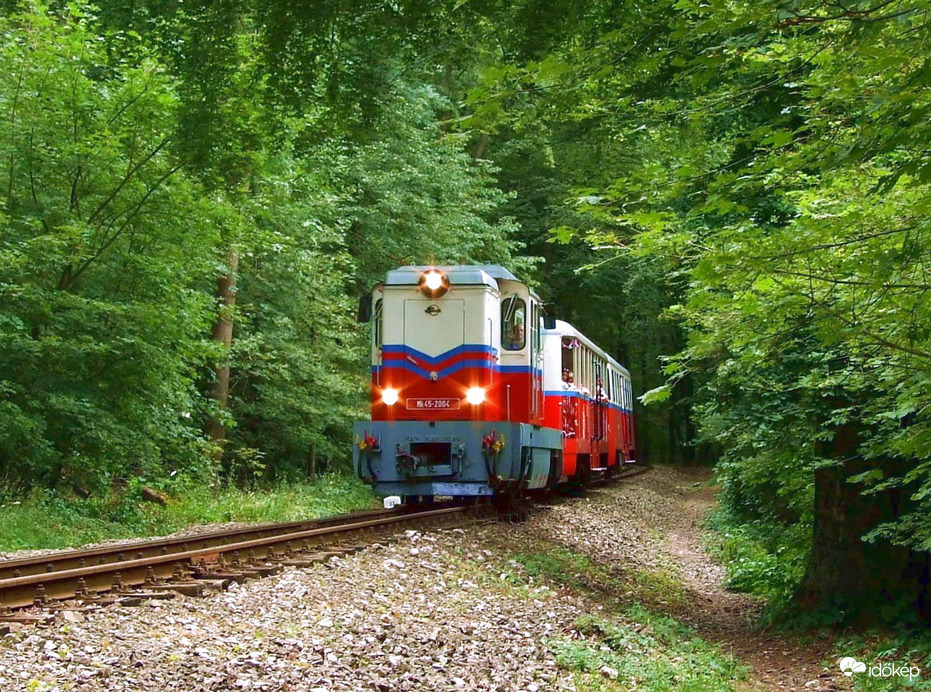 Száguldás az erdőn át :)