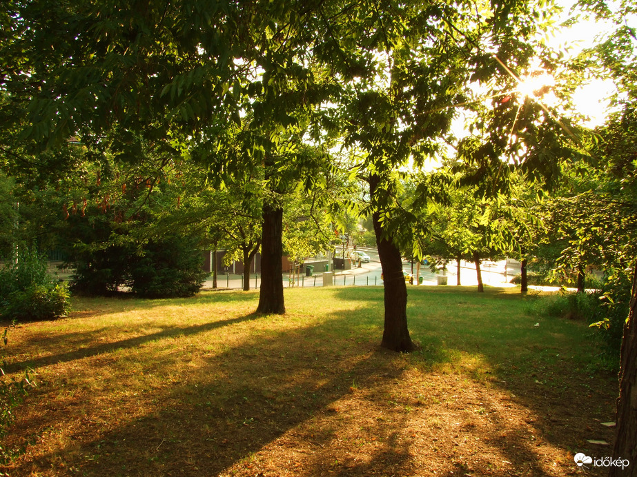 A parkban