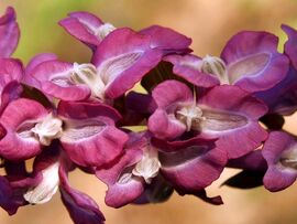 Tekintettel a részletekre :)