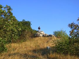 Barátom a helyzet magaslatán :)