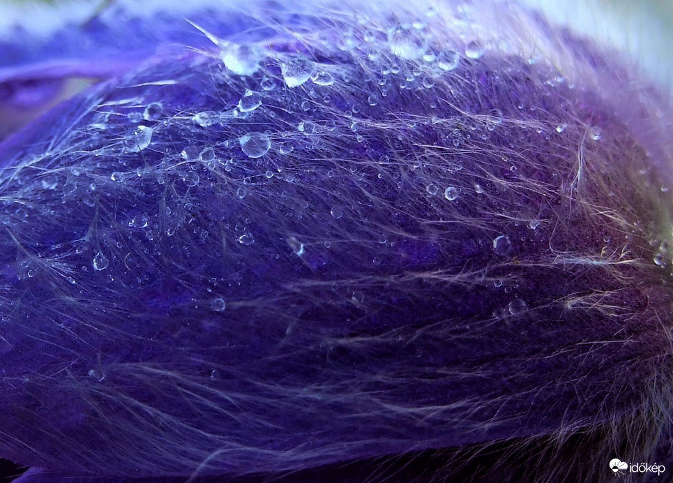 Egy csepp sem vész kárba 