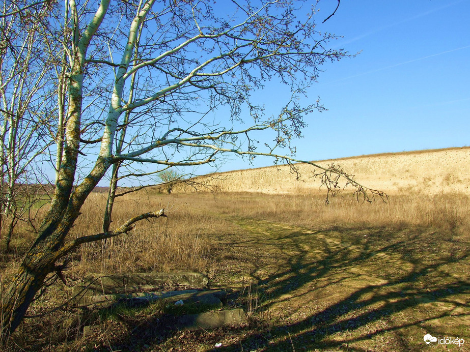 Az albertirsai gyurgyalagos löszfal
