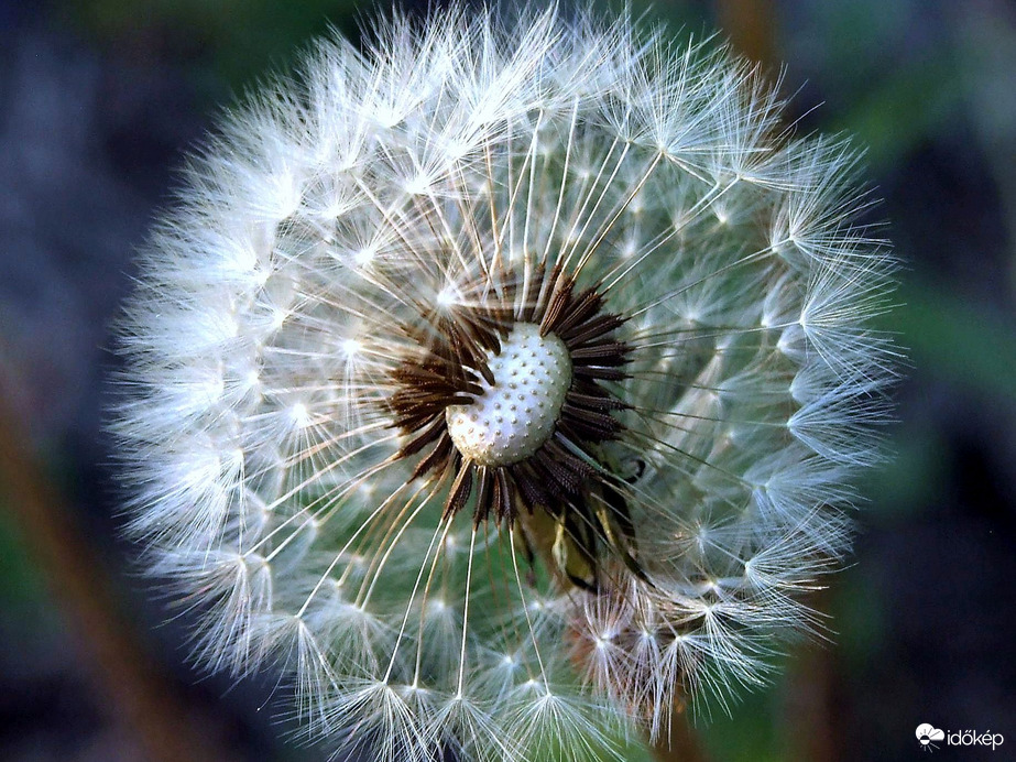 A Halálcsillag a lázadók támadása után :)