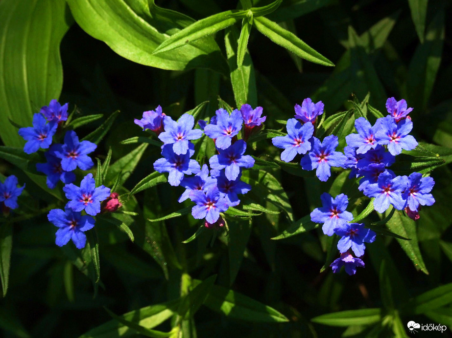 Csak szépen, sorban :)
