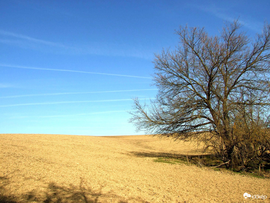 Nem sivatag, csak a Gödöllői-dombság :)