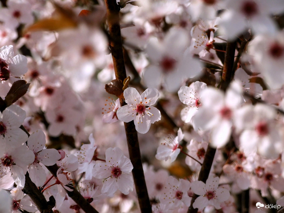 Egy a sok közül :) 