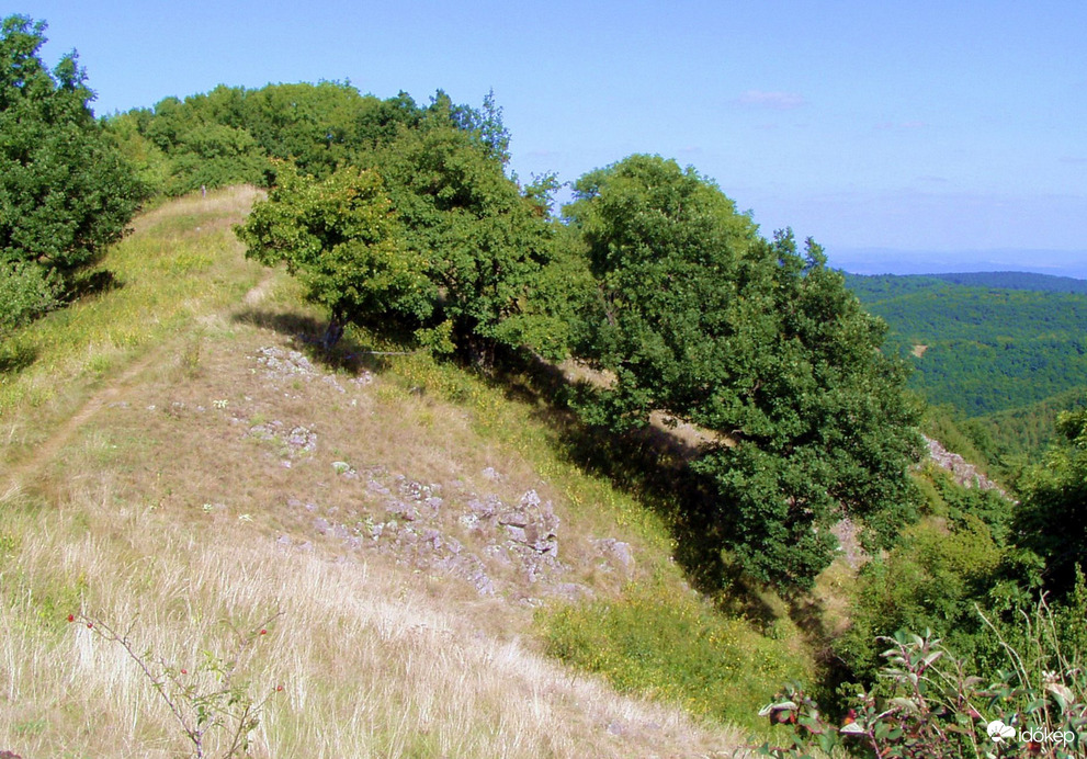 A Nagy-Mána gerinc