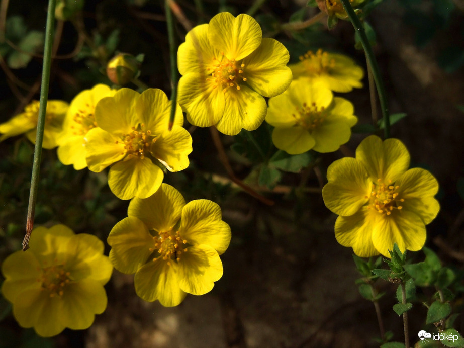 Hajolj le hozzánk, itt vagyunk! :)