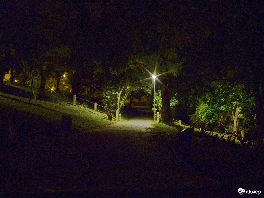 Éjjel a Parkban