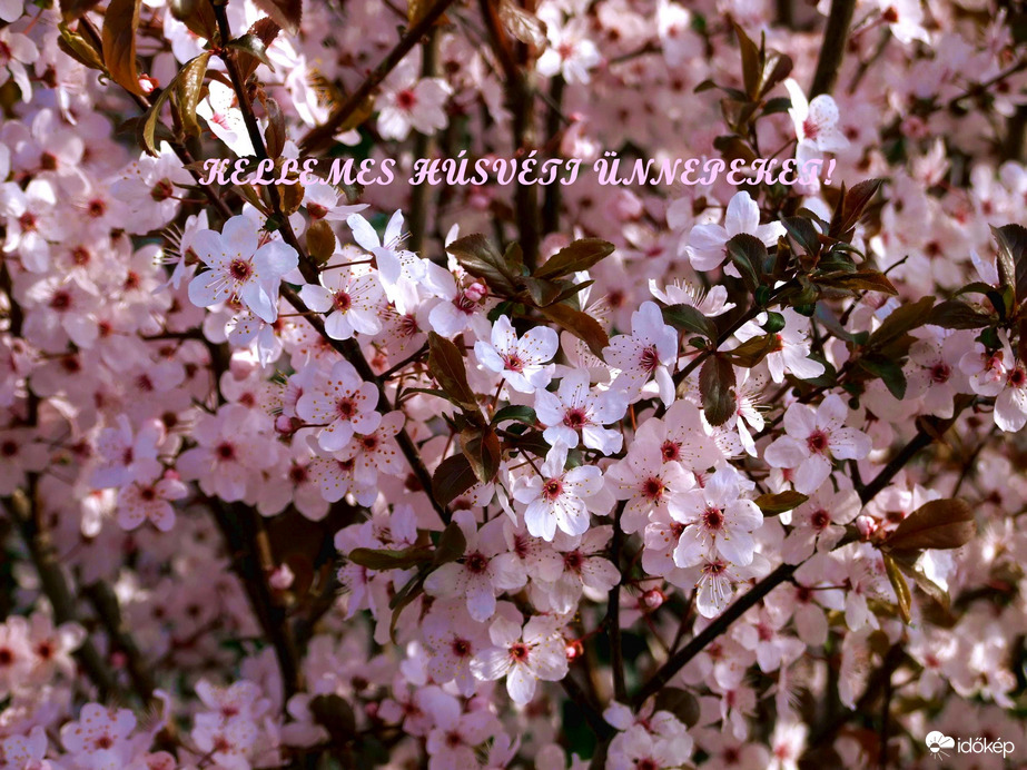 Kellemes Húsvéti Ünnepeket! 