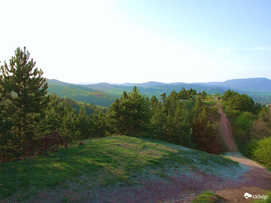 A budai hegyekben 
