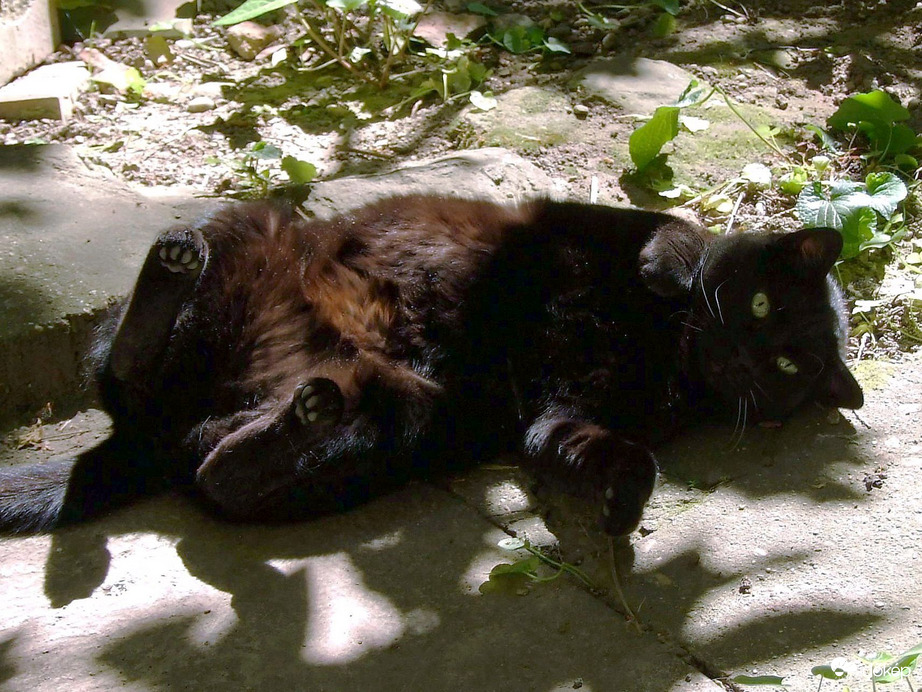 Reggeli "műveletek" :)