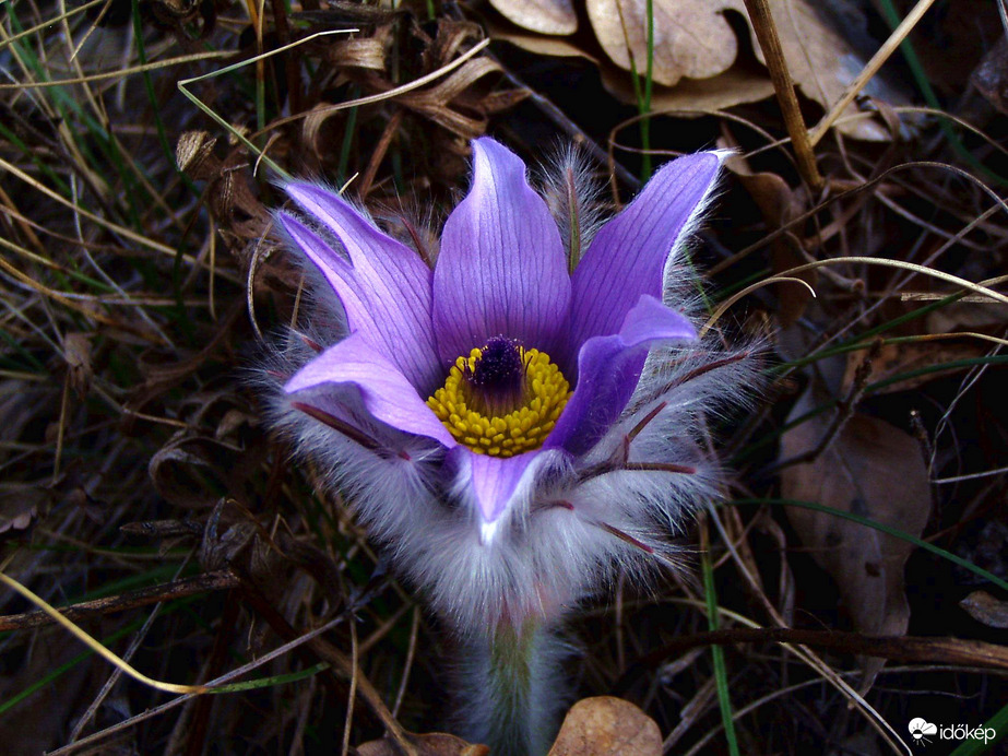Mindenki lentről kezdi :)