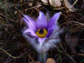 Mindenki lentről kezdi :)