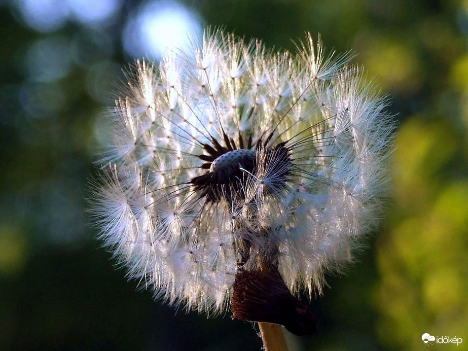 Nem pongyola szerkezet :)