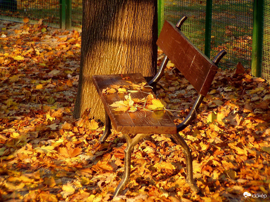 Október a parkban