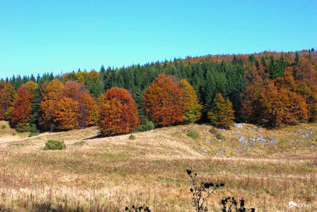 Ősz a Bükk-fennsíkon 