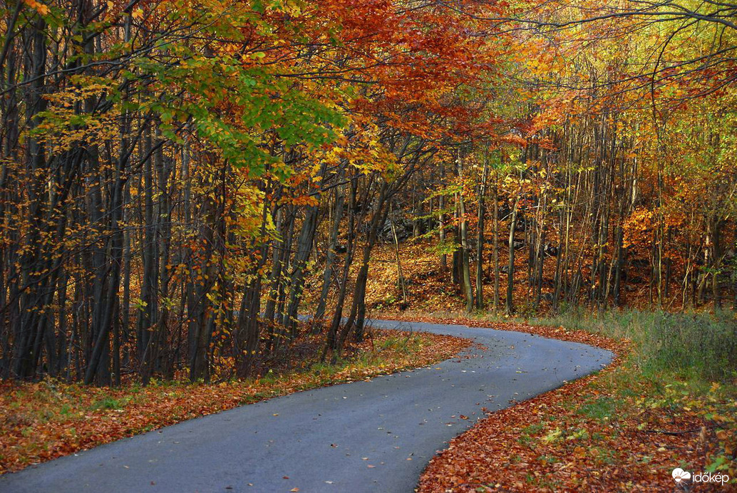 Veszélyes útkanyarulat balra :) 