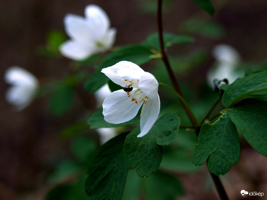 Rossz időben is van élet :)