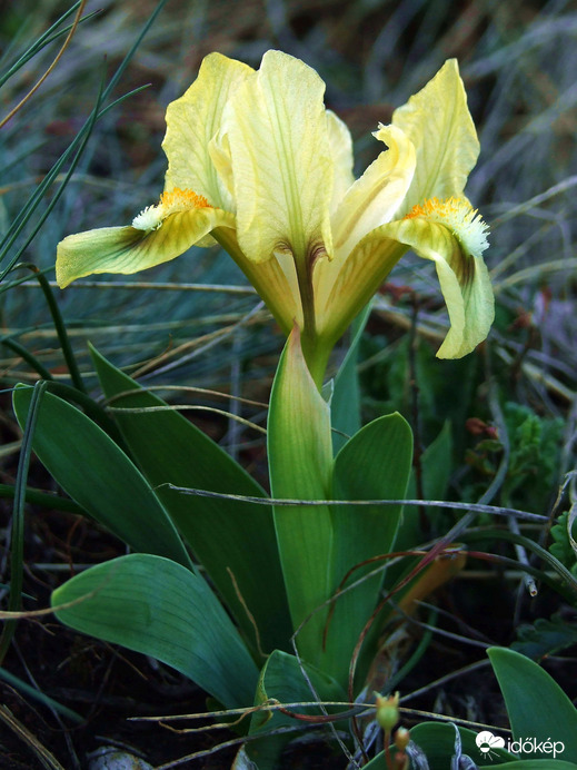 Búcsúztatjuk az áprilist 
