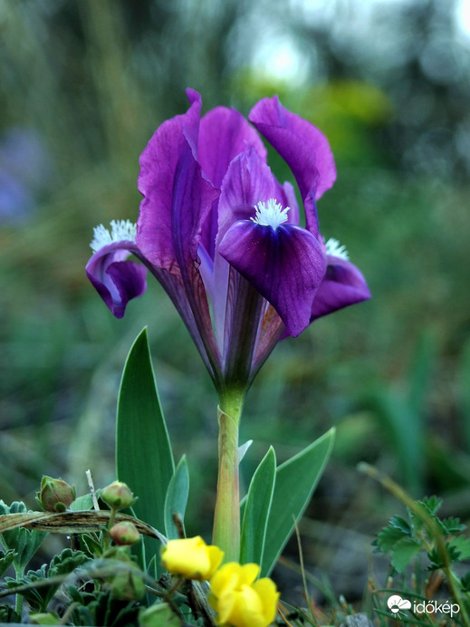 Búcsúztatjuk az áprilist 