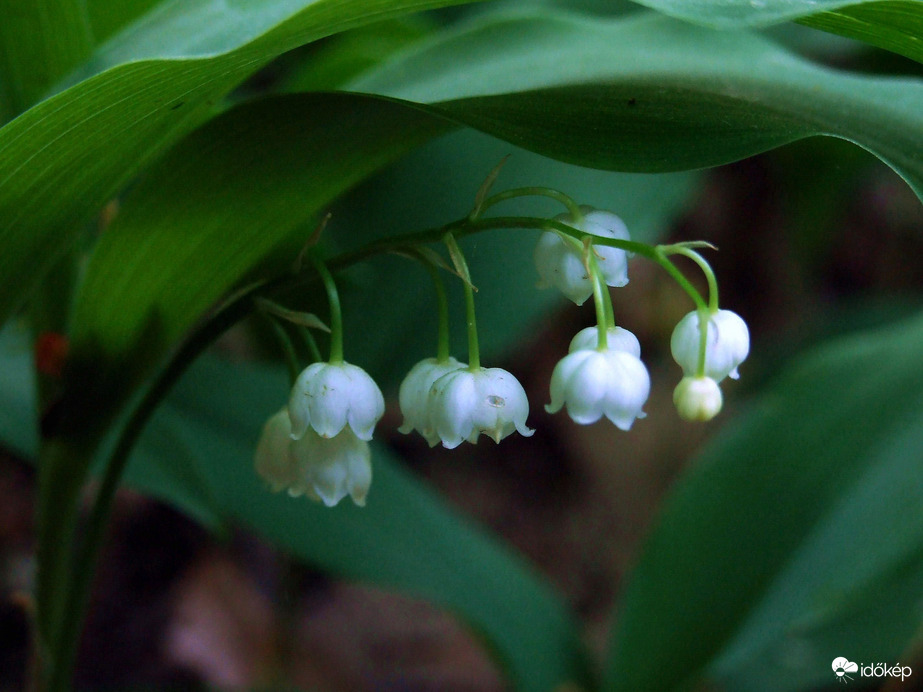 Beázás elleni védelem :)