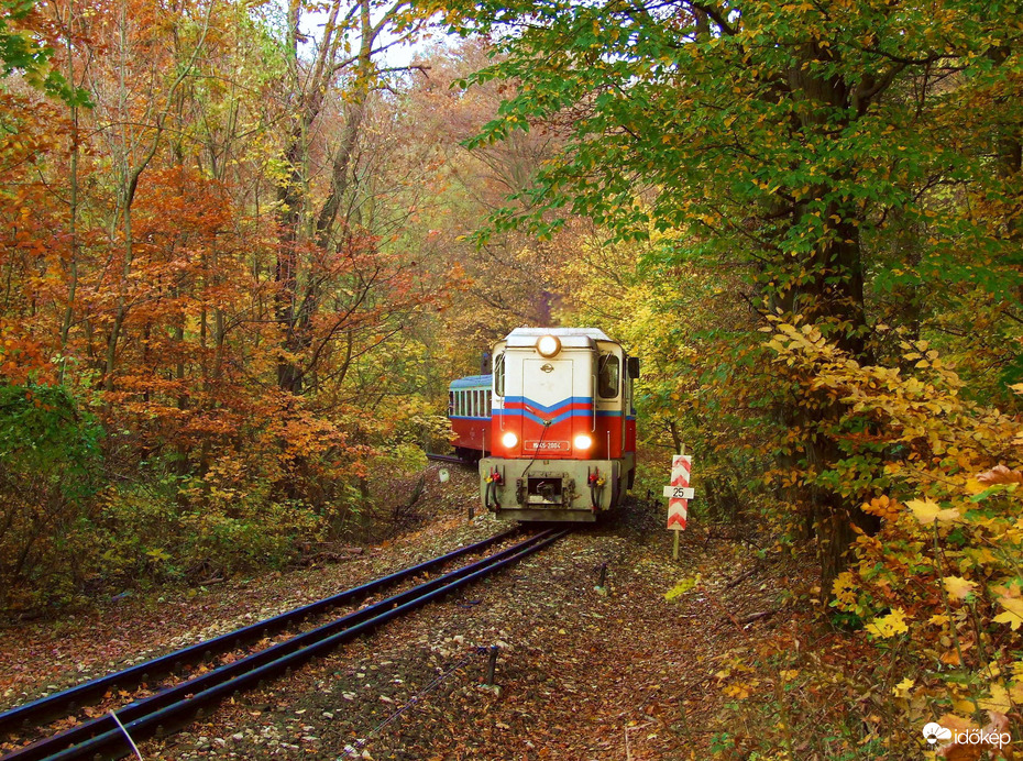 Őszi kirándulás - A Normafa és környéke ősszel 