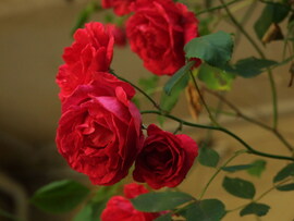 Ilyen volt a május...