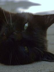 Face to face :)