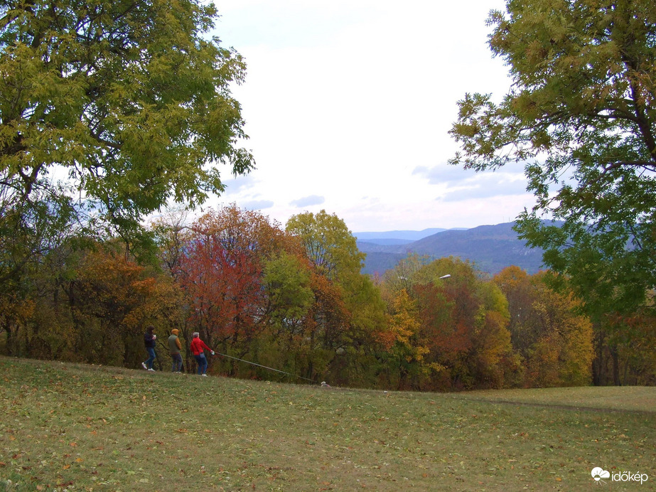 Őszi kirándulás - A Normafa és környéke ősszel 