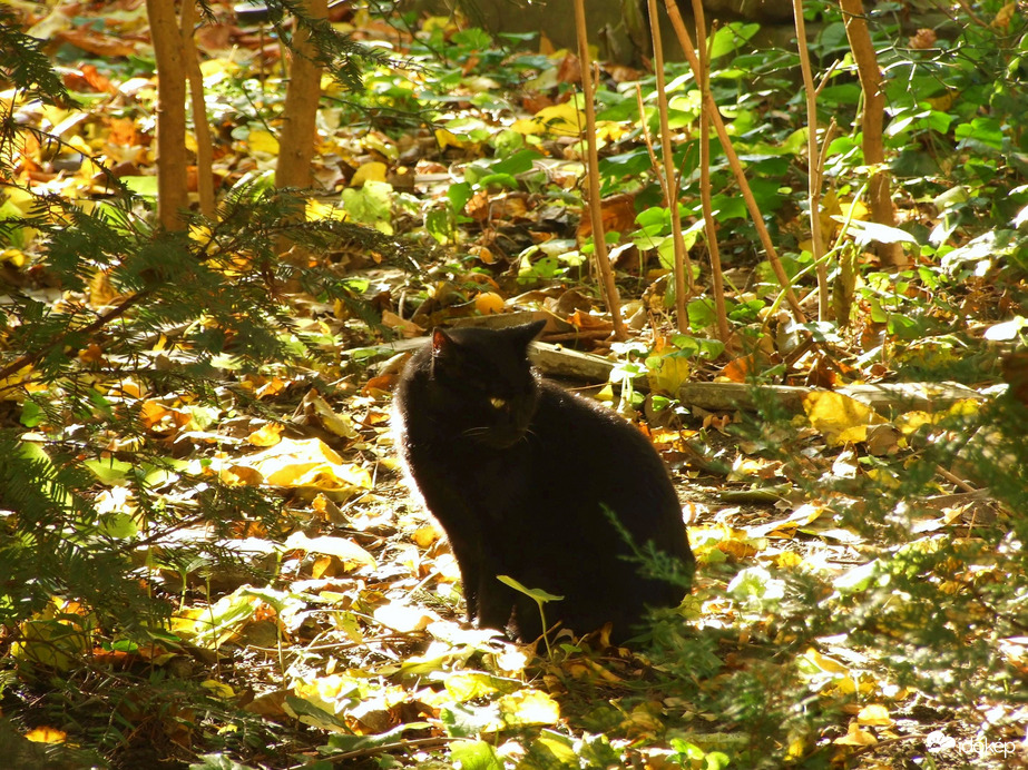 Most te következel! :)