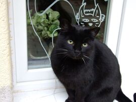 A hátam mögött lévő nem igazi! :)