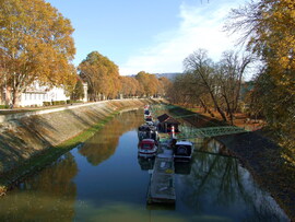 Novemberi napsütés 