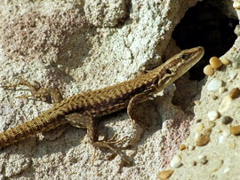 Hideg van, de még itt vagyok! :) 