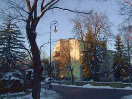 Budai utca téli fényben 