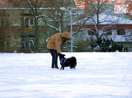 A játék öröme :) 