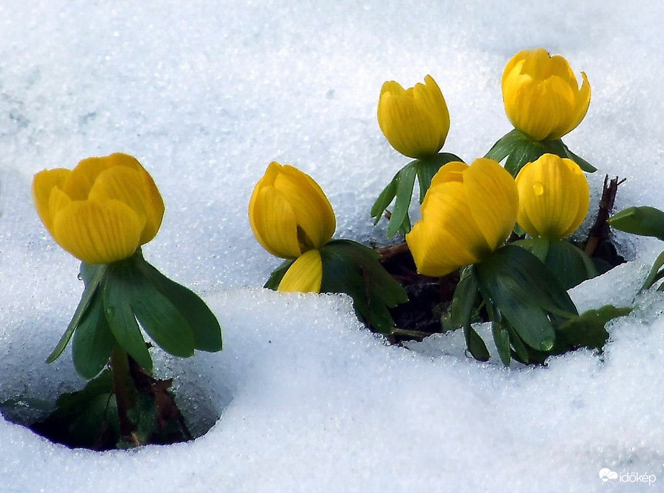 Még itt vagyunk és újra temetünk! :)