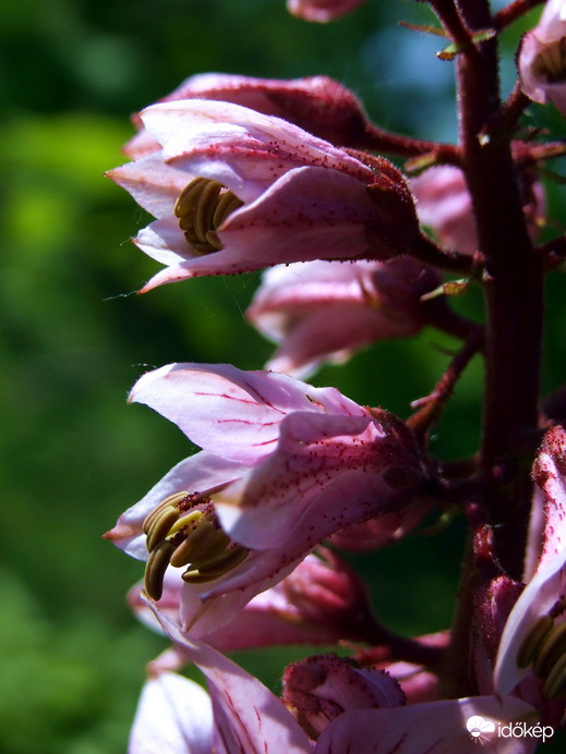 Nyitottság a világra :) 