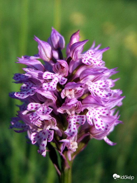 Itt állok egymagamban...:) 