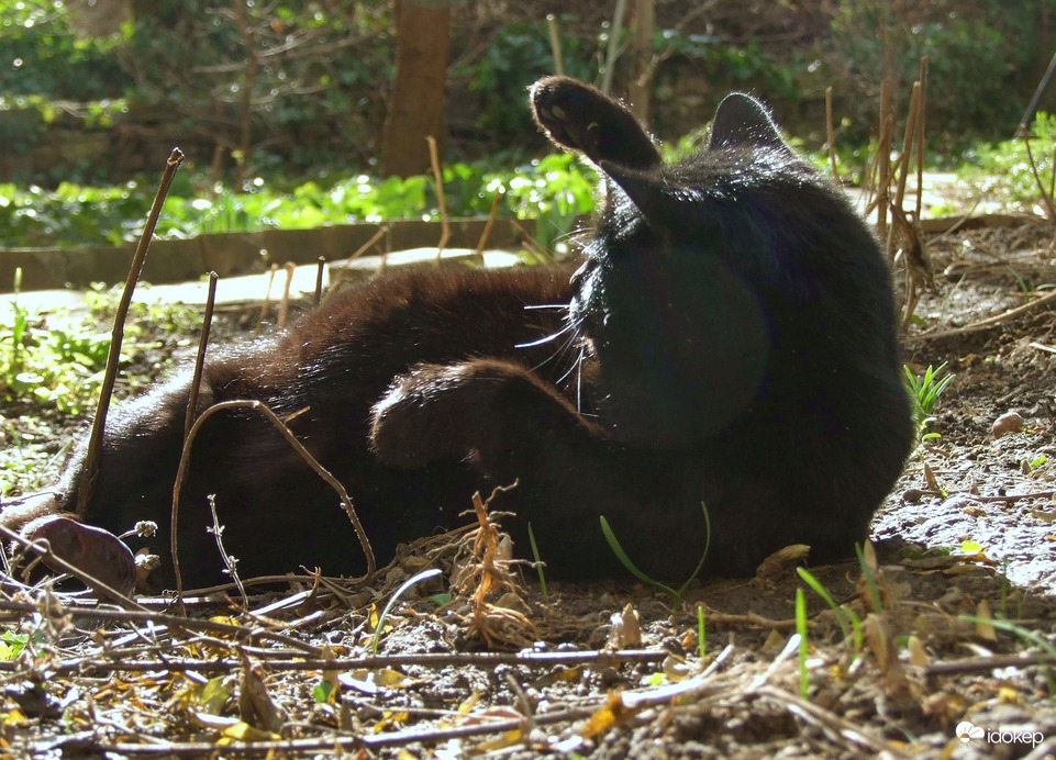 A francba! Megint nem látom, ki fütyörészik ott. :)