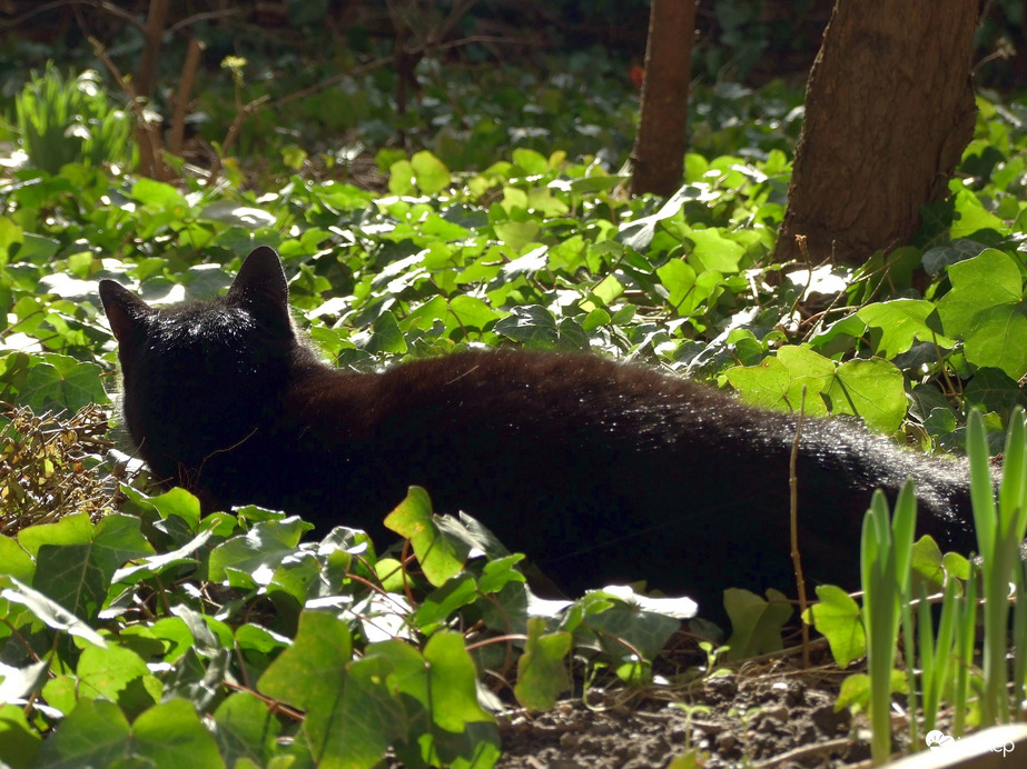 Lazsálás a napon - mi más? :)
