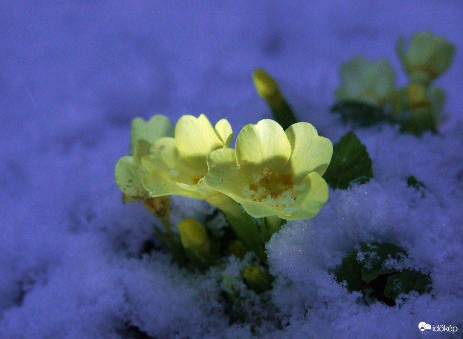 Hóból is megárt a sok :) 