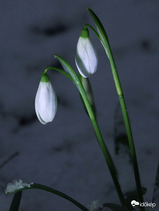 Ma este, Budapesten :)