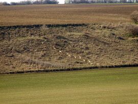 Előre és felfele! :)