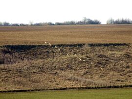 Az első már fent van! :)